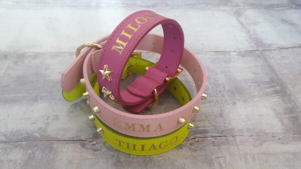 COLLARES MASCOTA/ PET COLLAR - Imagen 2