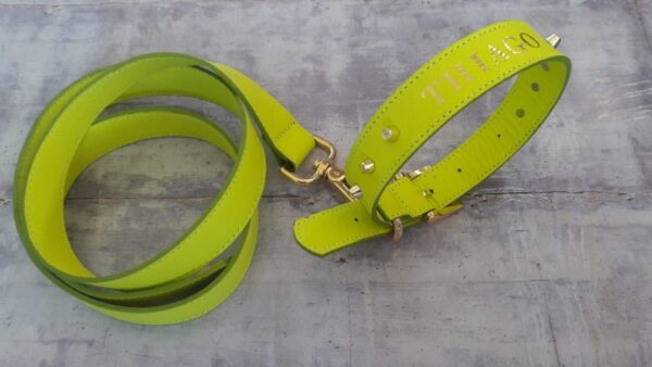 COLLARES MASCOTA/ PET COLLAR - Imagen 3