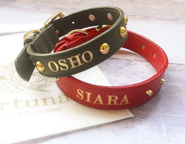 COLLARES MASCOTA/ PET COLLAR - Imagen 11